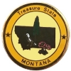 Montana Pin MT State Emblem Hat Lapel Pins